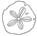 Sand Dollar